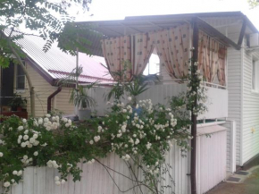 Guesthouse v pansionate Olginka